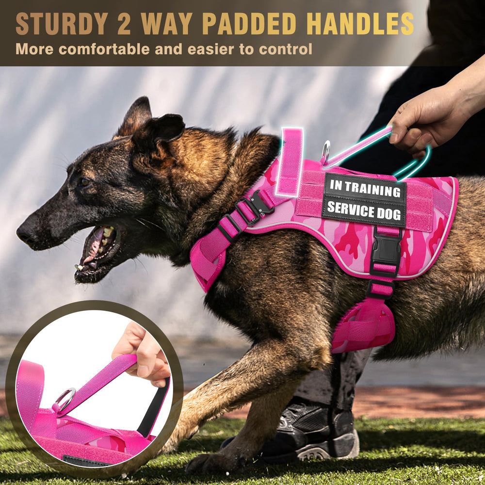 WINSEE back handle offers quick control in crowded areas