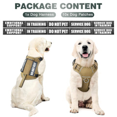 WINSEE Tactical Dog Harness back view shows leash clip for relaxed walks.