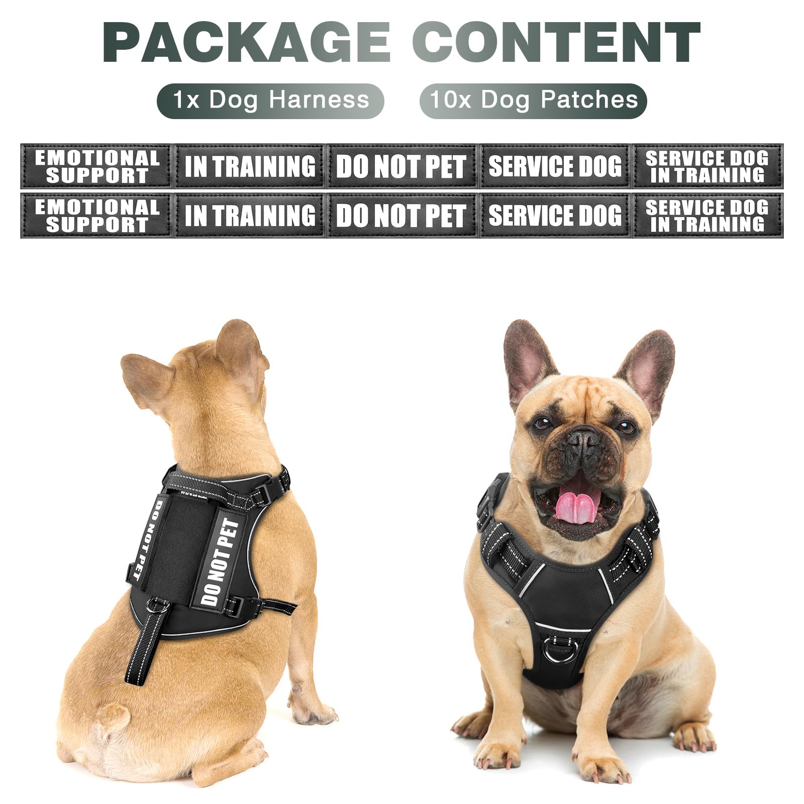 WINSEE tactical dog harness back view highlights strong handle for control