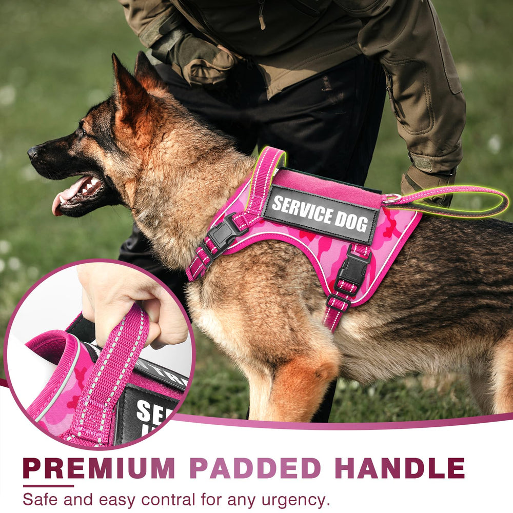 WINSEE color options display of tactical dog harness in five colors.