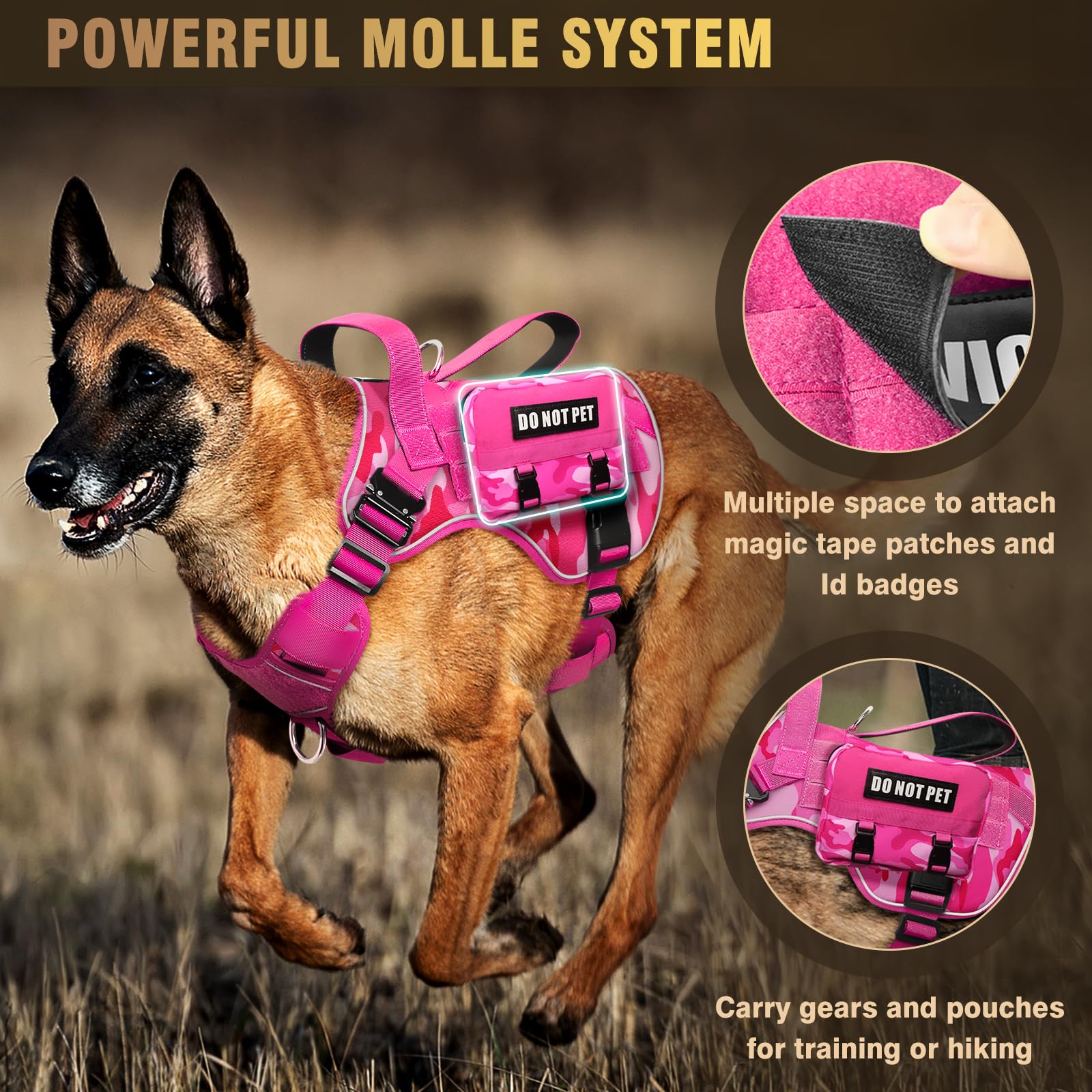 WINSEE harness with dual D-rings and leash options for versatile control