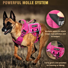 WINSEE harness with dual D-rings and leash options for versatile control