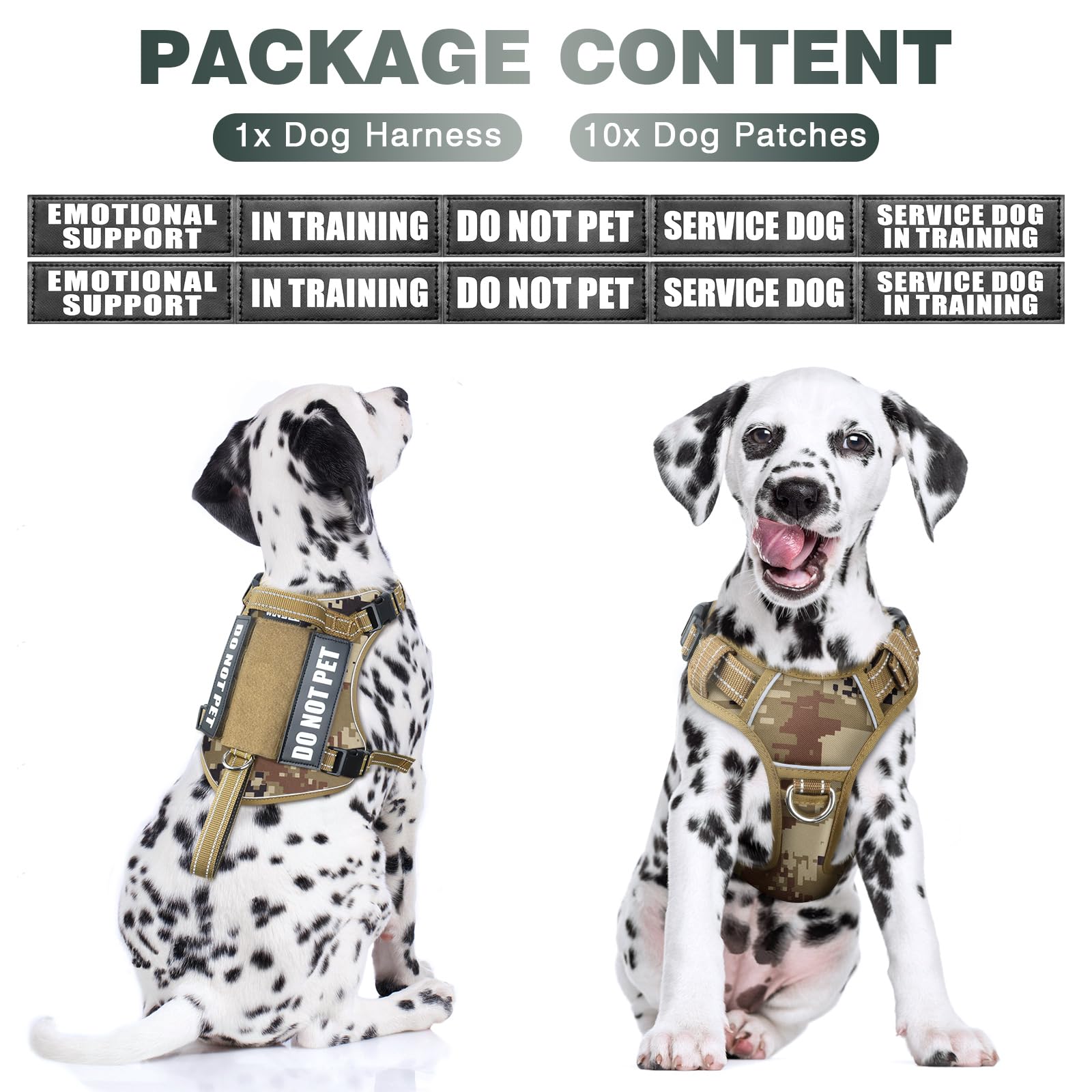 WINSEE harness with front and back leash clips for controlled pulling during walks