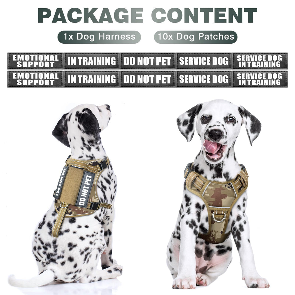 WINSEE harness with front and back leash clips for controlled pulling during walks