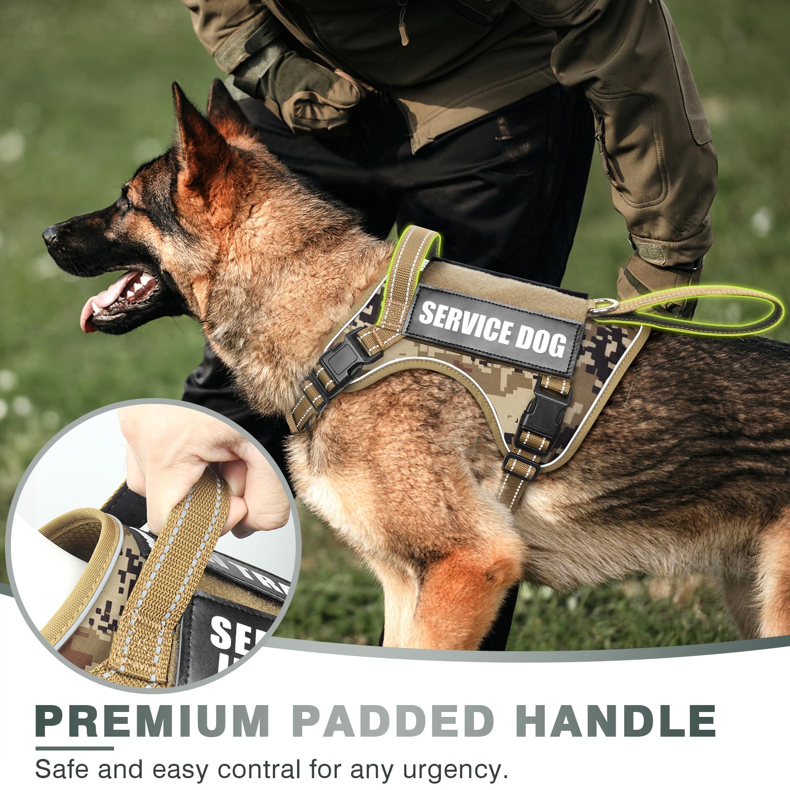 WINSEE MOLLE system harness with patches for service, training, and identification