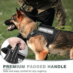 WINSEE tactical dog harness MOLLE system enables patches and gear