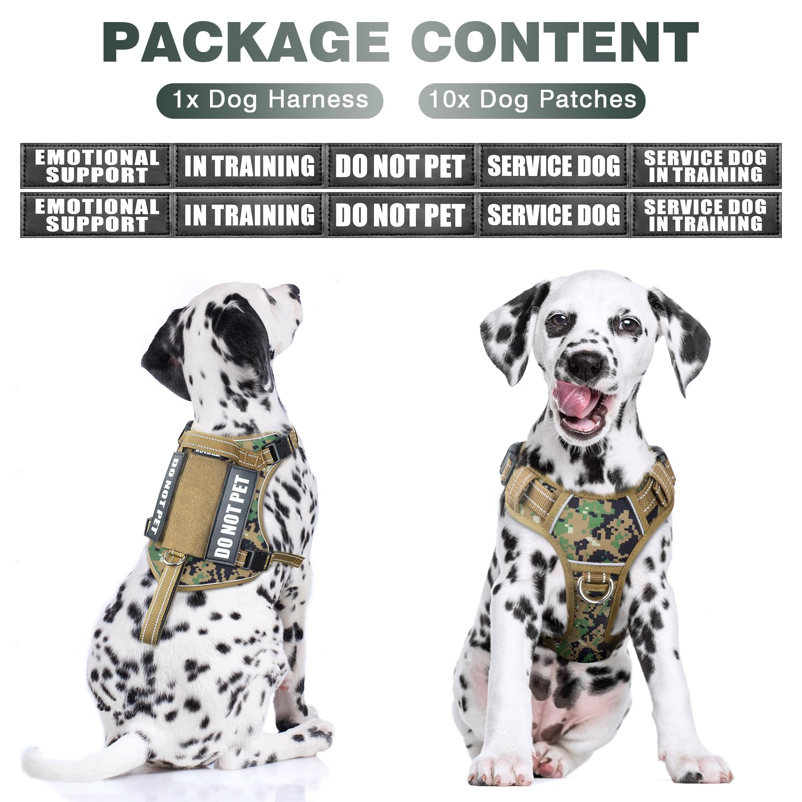 WINSEE harness with Molle system for modular gear and patches