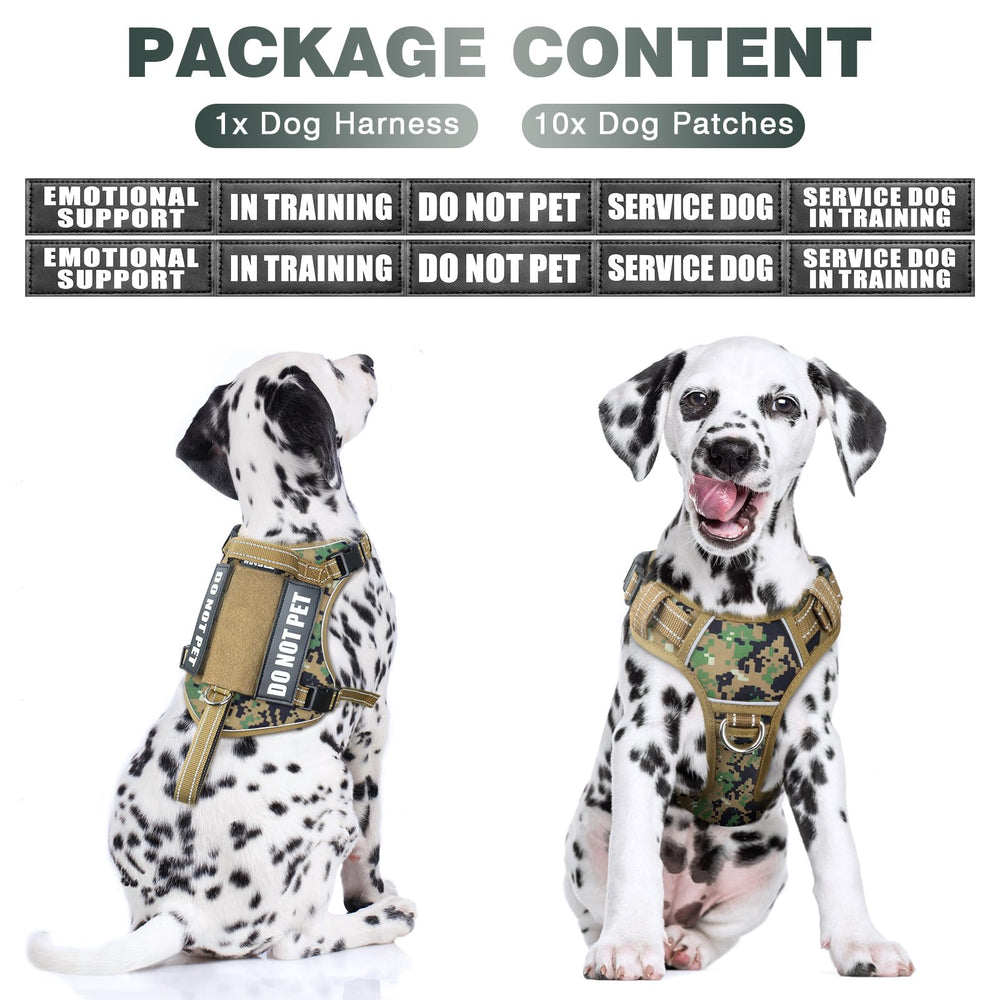 WINSEE harness with Molle system for modular gear and patches