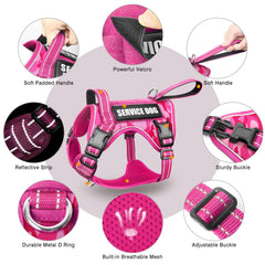 WINSEE tactical dog harness MOLLE system with patches for labeling.