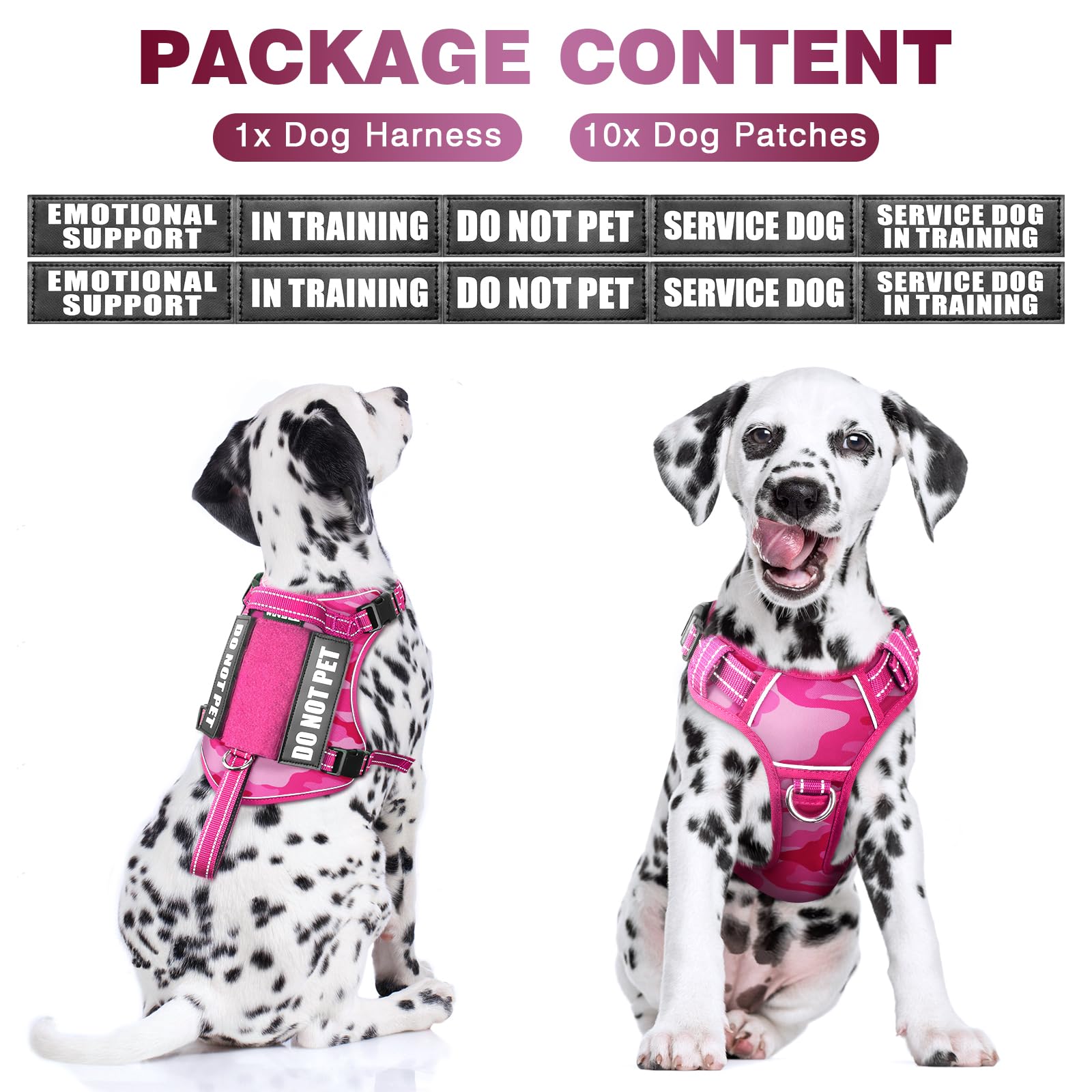 WINSEE patches set included on vest harness for quick labeling.