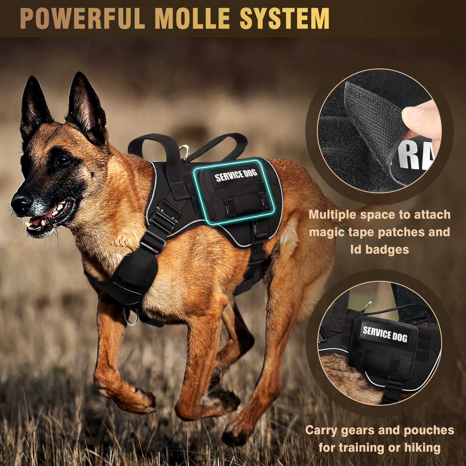 WINSEE quick-release chest buckles simplify fitting and release