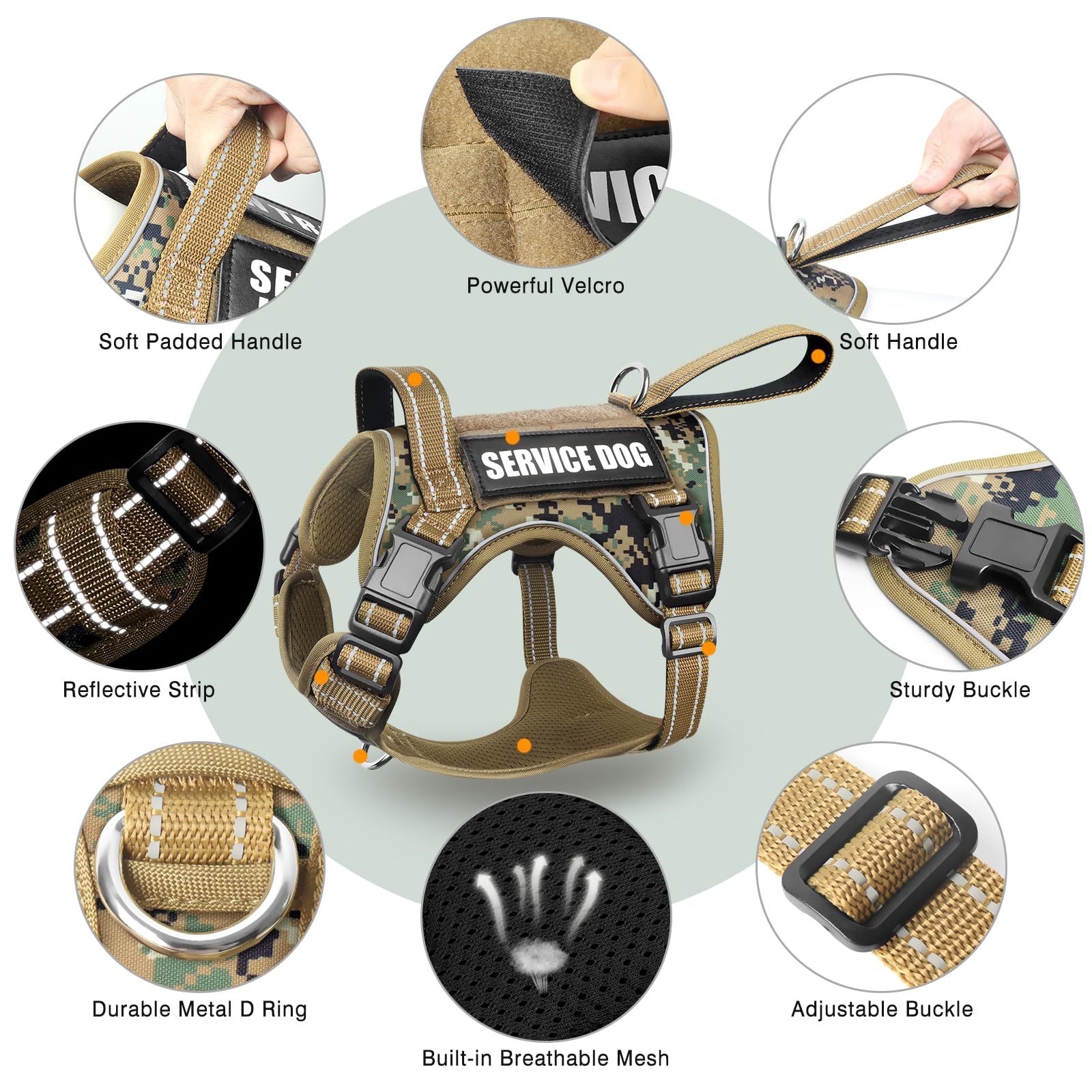 WINSEE Reflective Nylon harness visible in low light during dawn walk