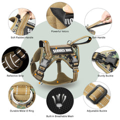 WINSEE Reflective Nylon harness visible in low light during dawn walk