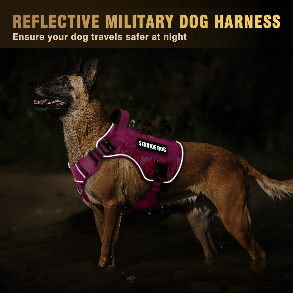 WINSEE reflective strip improves visibility during evening walks