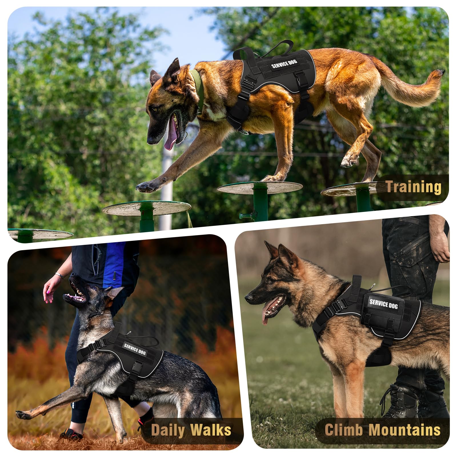 WINSEE medium-size adjustable straps ensure comfortable fit for medium dogs