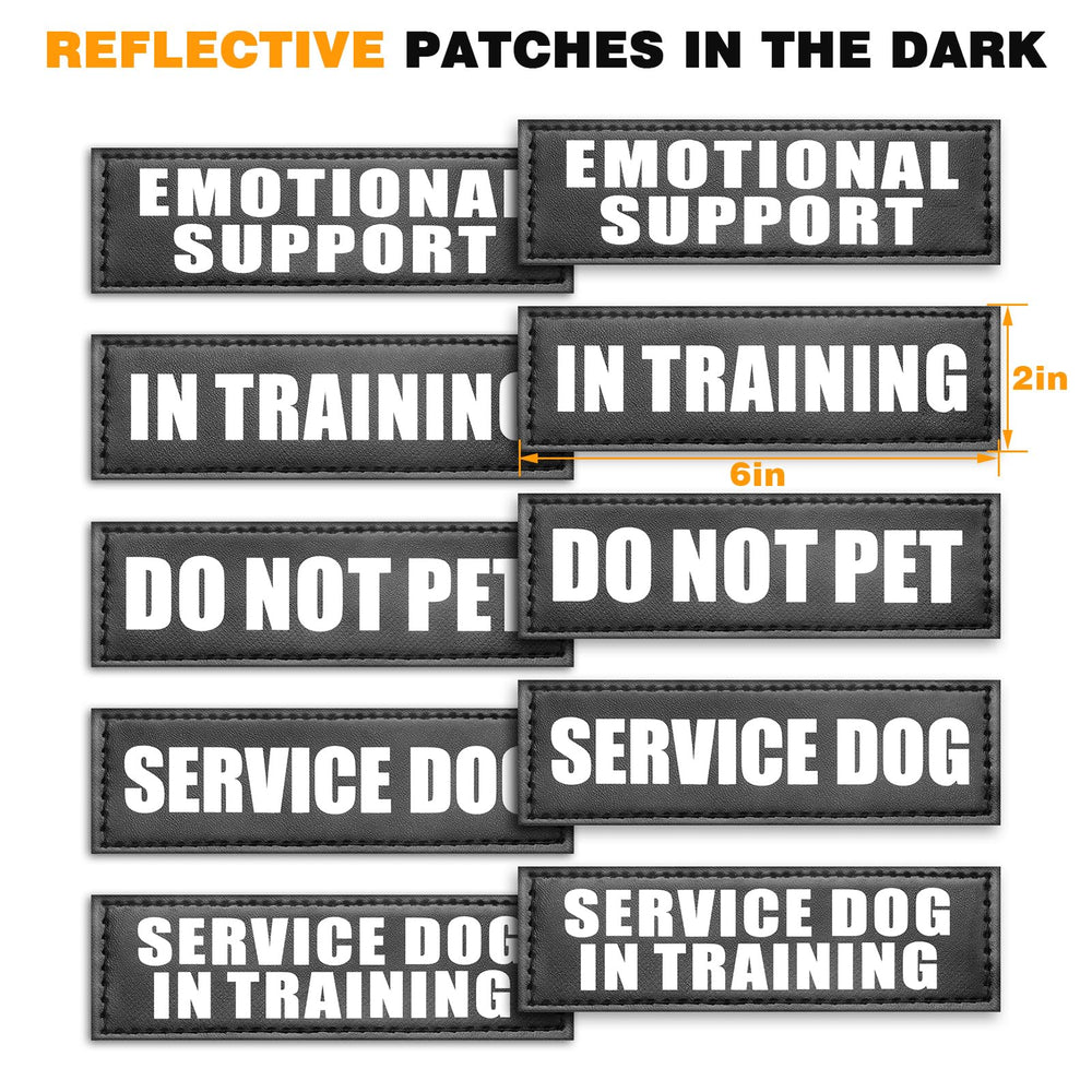 WINSEE vest with included ten-patch set signaling training and service status