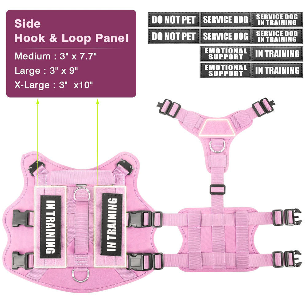 WINSEE ten patches included display service status and morale cues on the vest.