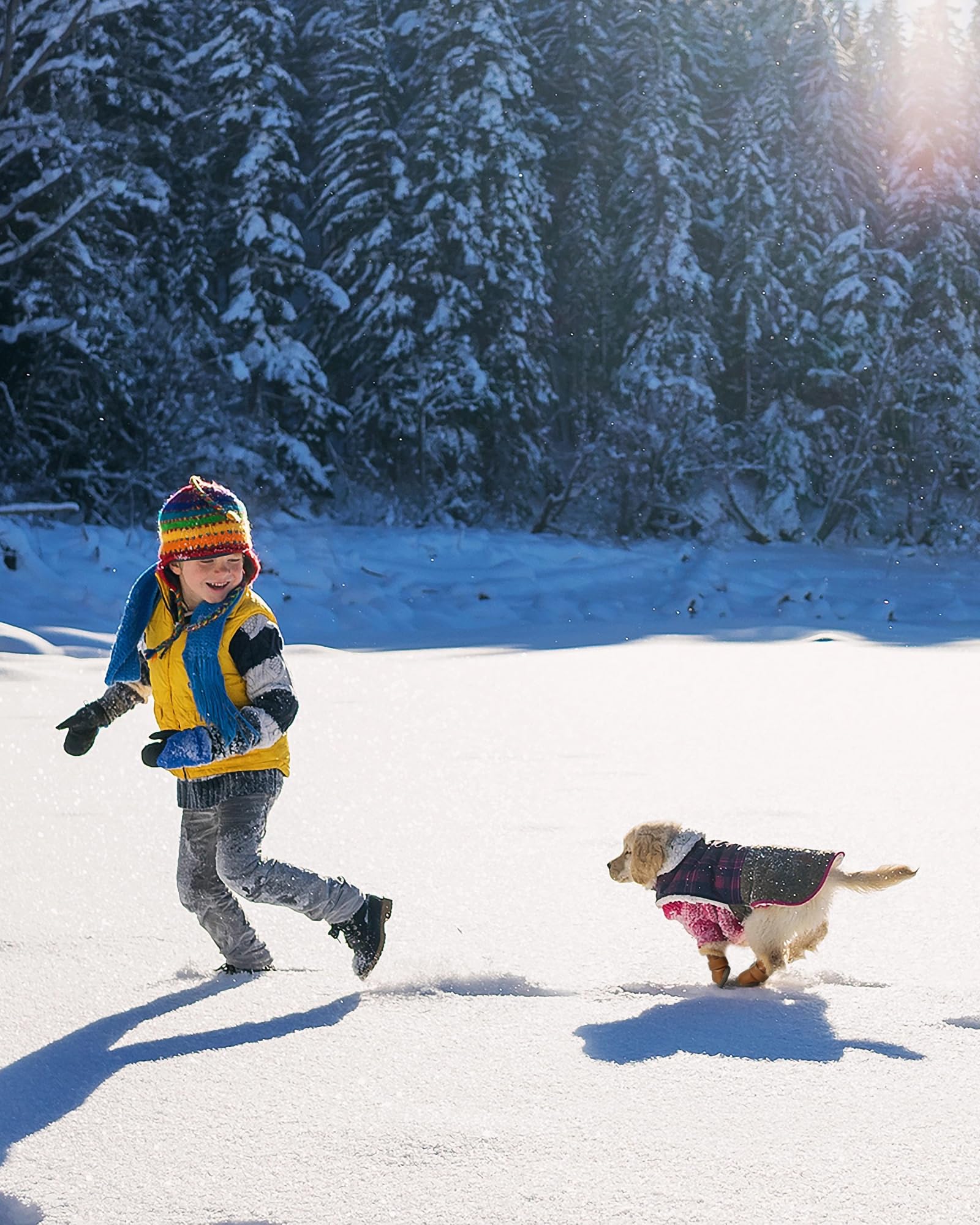 WINSOON winter dog boots pu-leather-upper protects paws in mud and snow