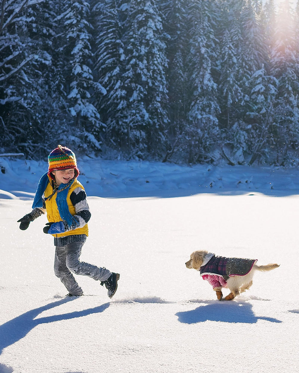WINSOON winter dog boots pu-leather-upper protects paws in mud and snow