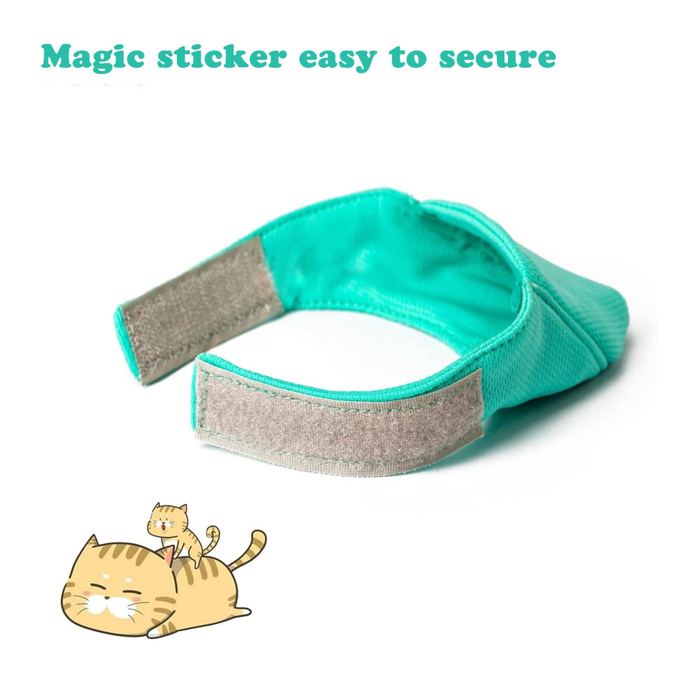 Wintchuk cat muzzle in grooming scene for nails and baths.