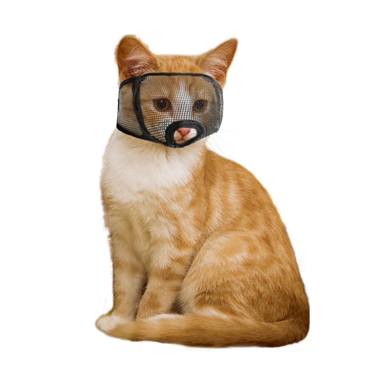 Wintchuk cat muzzle with soft mesh cover offers comfortable, breathable wear for grooming.