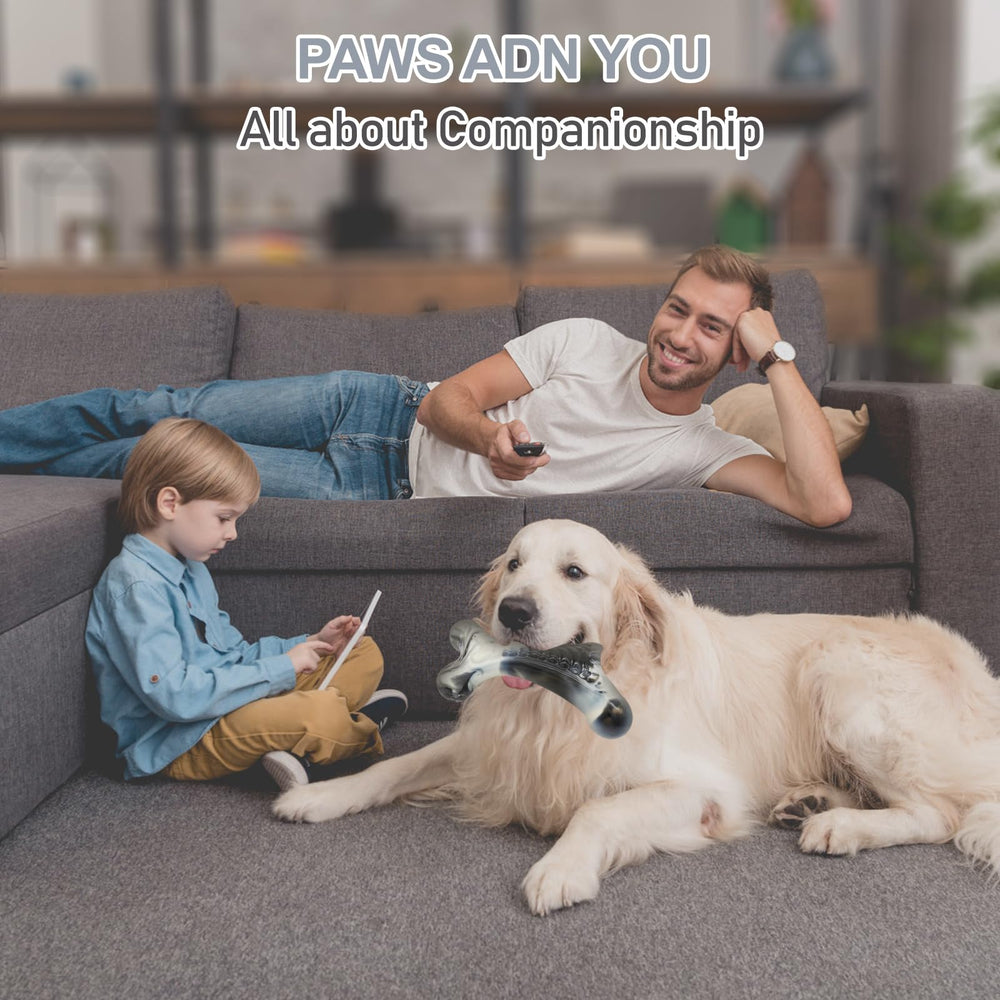 WinTour beef-flavored chew demonstrates satisfying texture and long-lasting fun