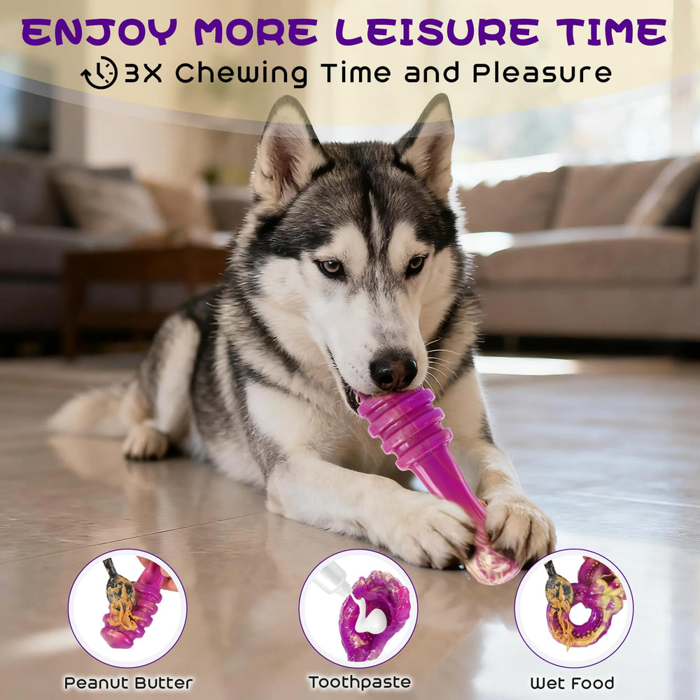 WinTour beef-flavored nylon toy lifestyle shot demonstrates long-lasting chews during busy mornings.