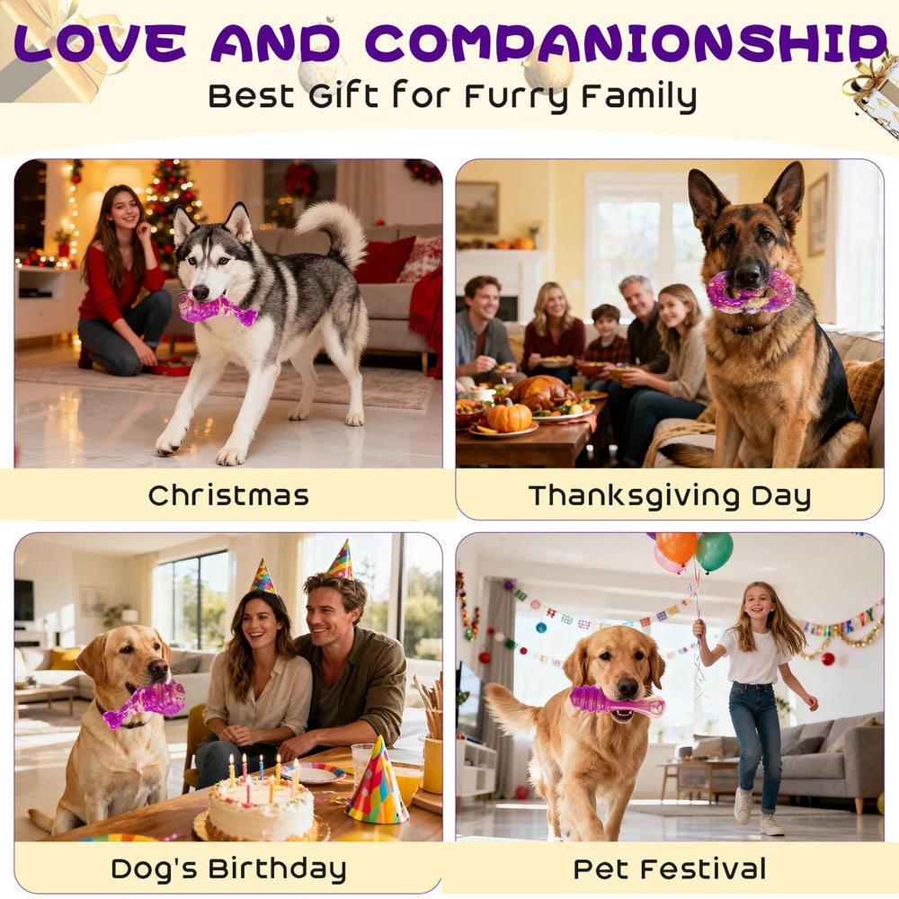 WinTour dog enjoying chew to reduce restlessness and boredom during downtime.