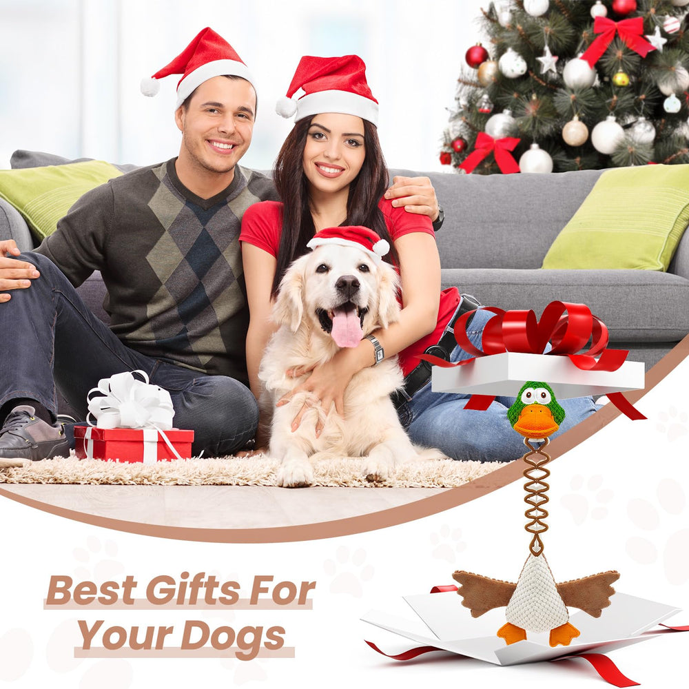 WinTour dog toy for small to large dogs supports active, energy-burning play