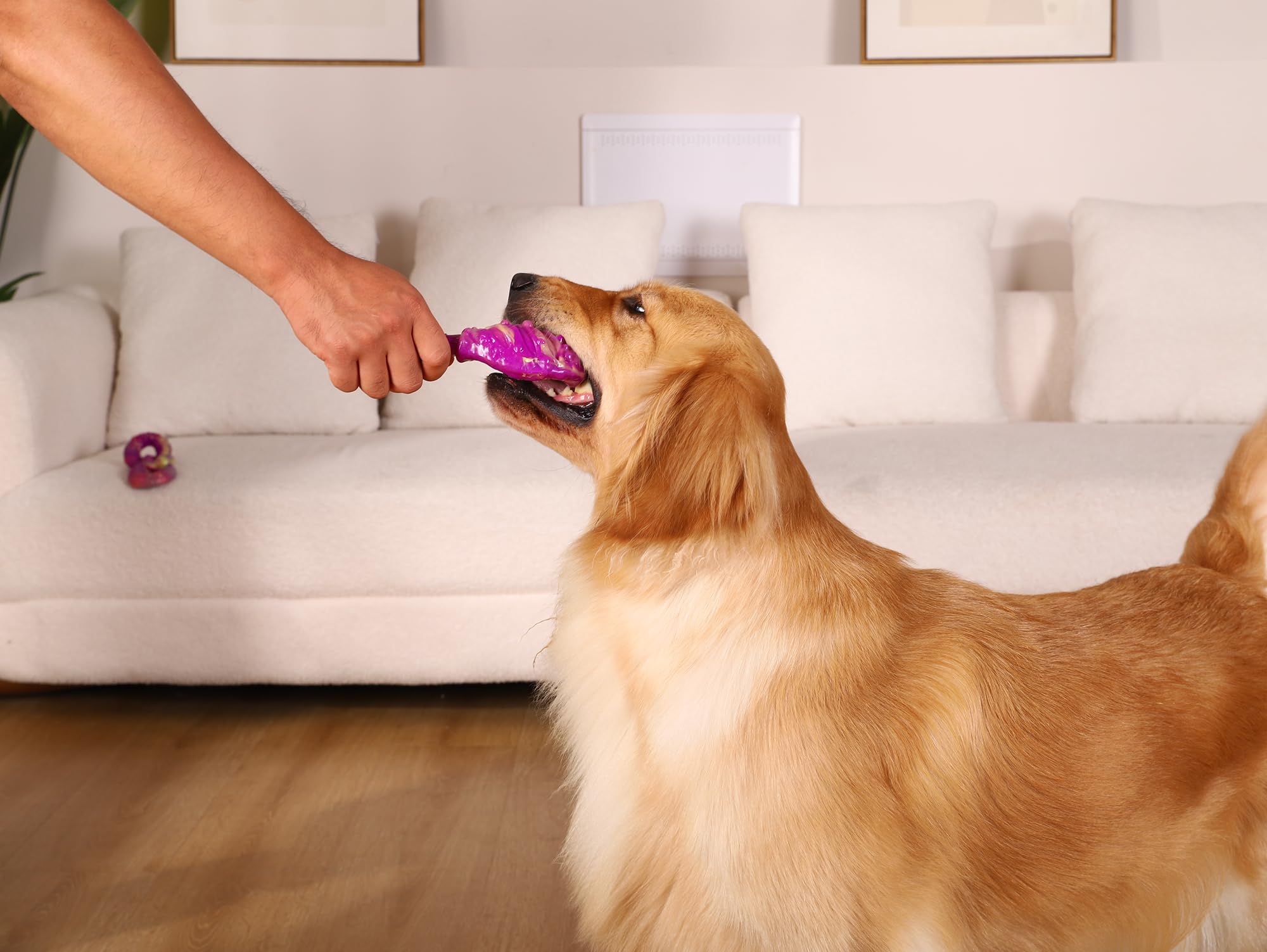 WinTour dog toys gift-ready for birthdays and holidays, spreading joy.