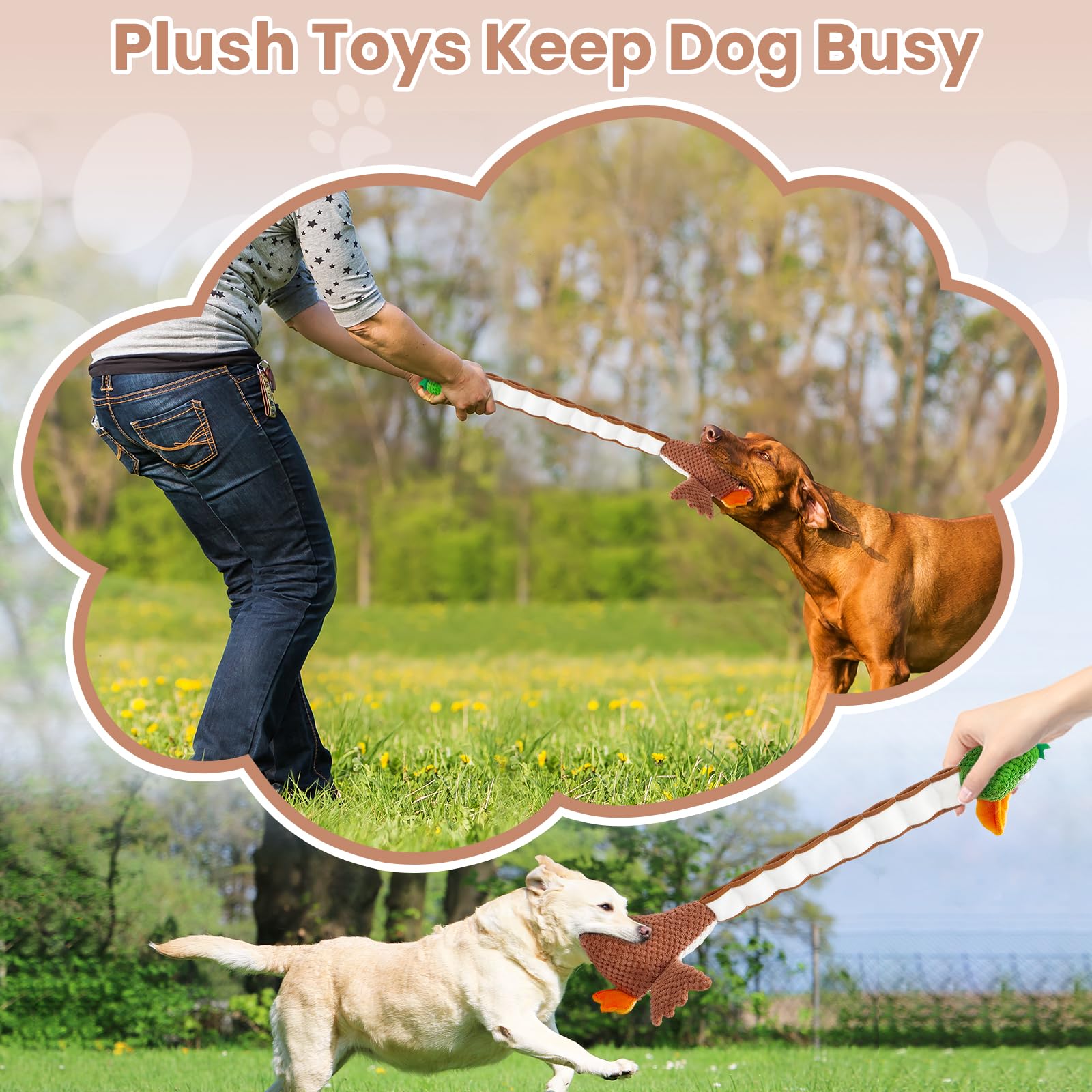 WinTour interactive tug-of-war toy suitable for multi-dog play