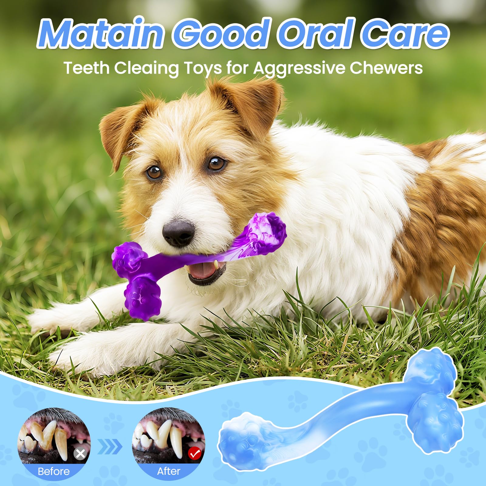 WinTour milk-flavor nylon chew is food-grade and safe for chewers.