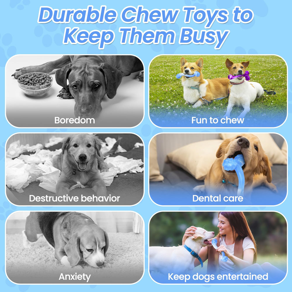 WinTour paw-friendly grip bone supports focused chews during training.
