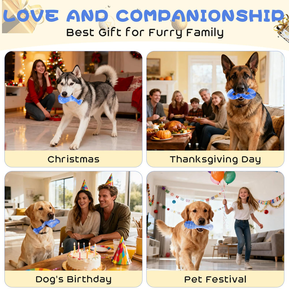 WinTour textured surfaces support toppings and gentle oral care routines.