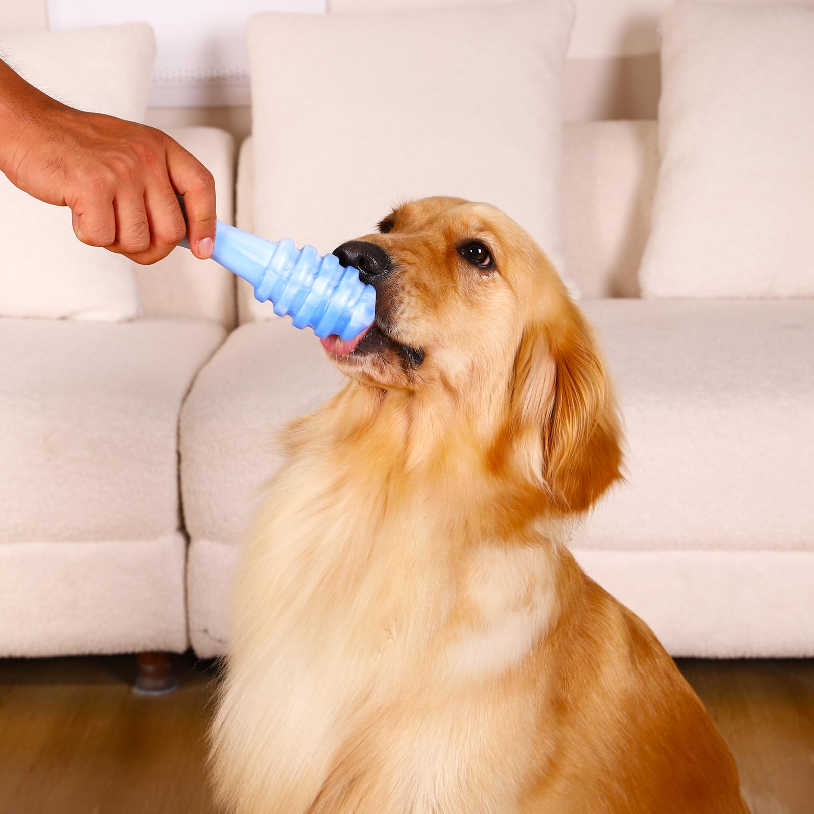 WinTour triple toy pack makes a thoughtful gift for dog lovers.