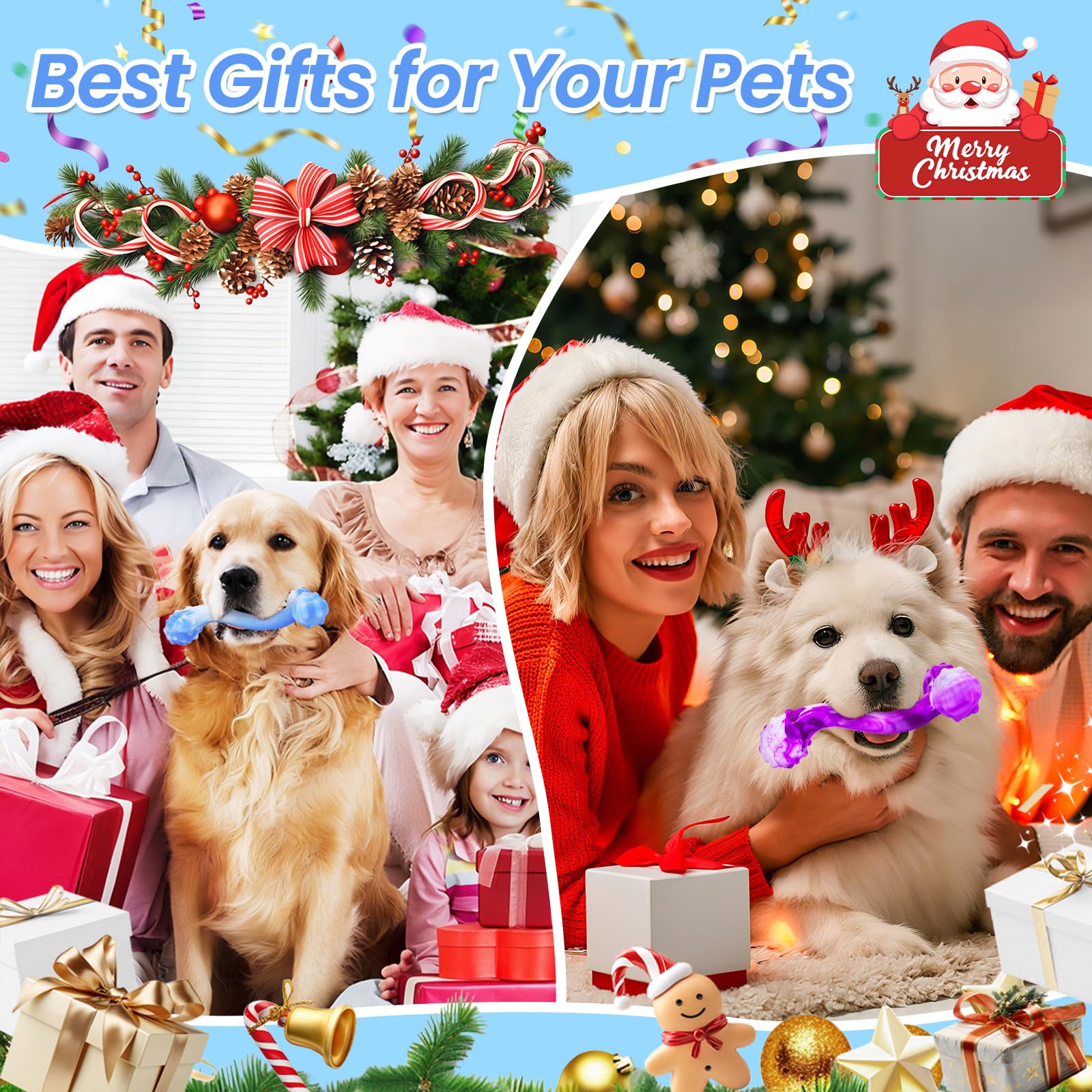 WinTour two-pack dog bones offer great value for bulk chewers.