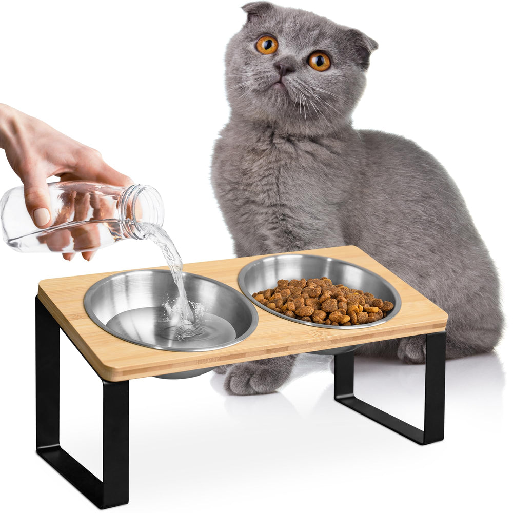 WinTruffles elevated bowls support comfortable posture during meals for indoor cats.