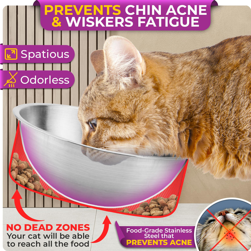 WinTruffles stainless steel raised bowls offer durable, hygienic feeding for indoor cats.