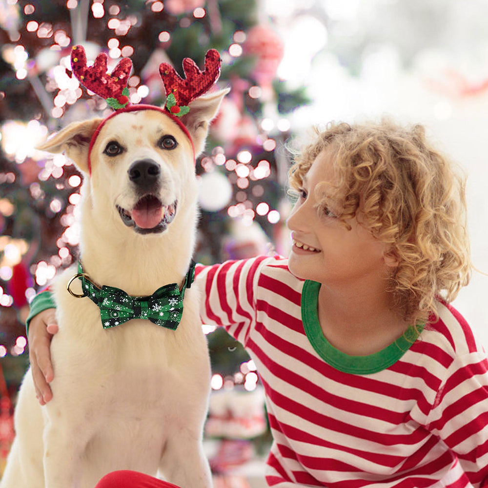 Wipalor-green-plaid-snowflake-collar-on-dog demonstrates seasonal style during walks