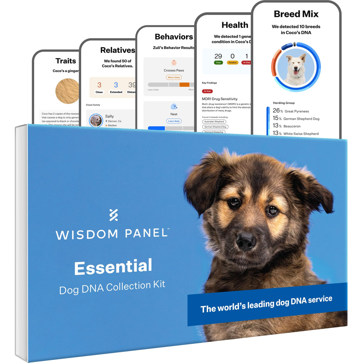 Wisdom Health Essential Dog DNA Kit pack shot—comprehensive breed detection for accurate profiles.