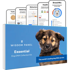 Wisdom Health Essential Dog DNA Kit pack shot—comprehensive breed detection for accurate profiles.