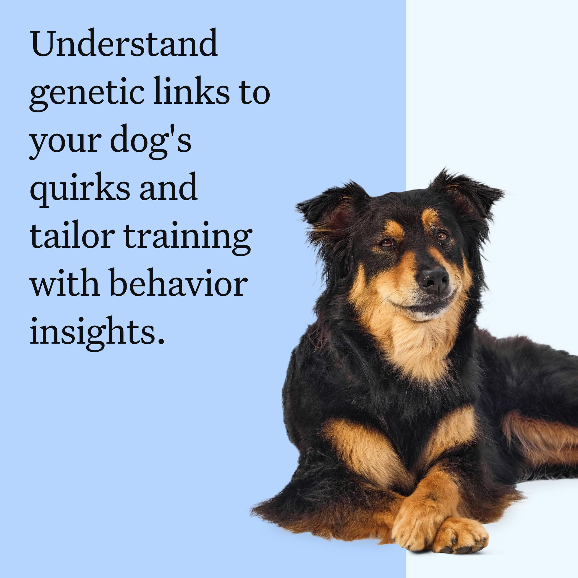 Wisdom Panel lab results screen previews fast, reliable breed reports