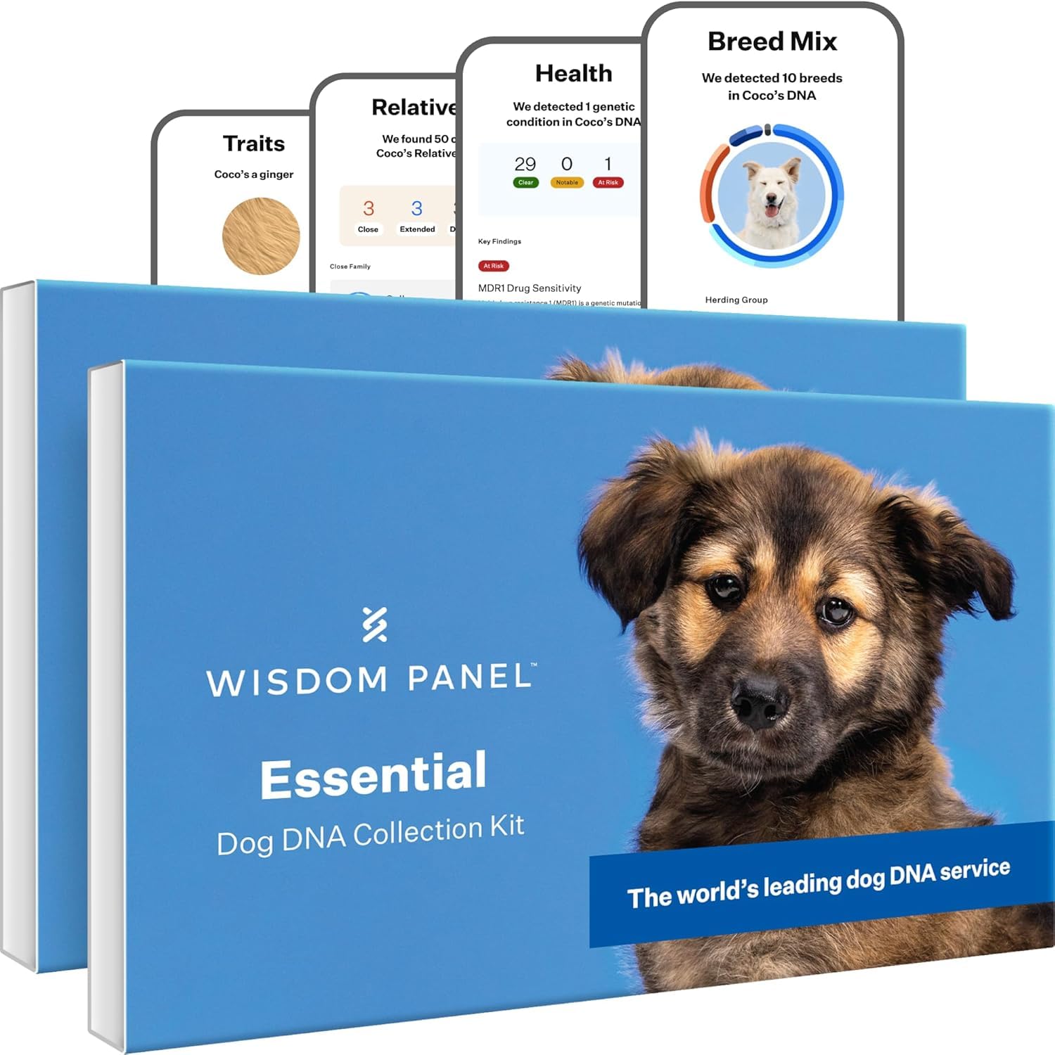 Wisdom Panel Essential DNA Kit pack cover image for easy home testing and family planning.
