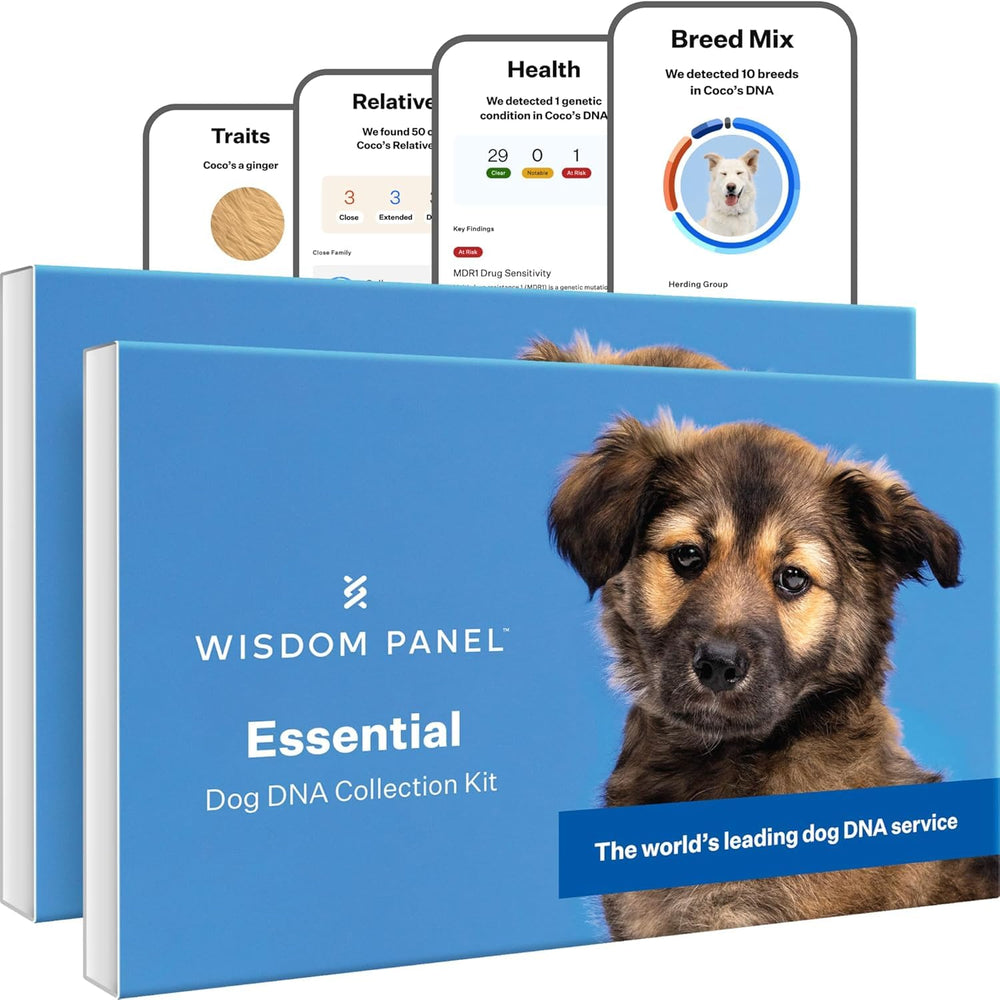 Wisdom Panel Essential DNA Kit pack cover image for easy home testing and family planning.