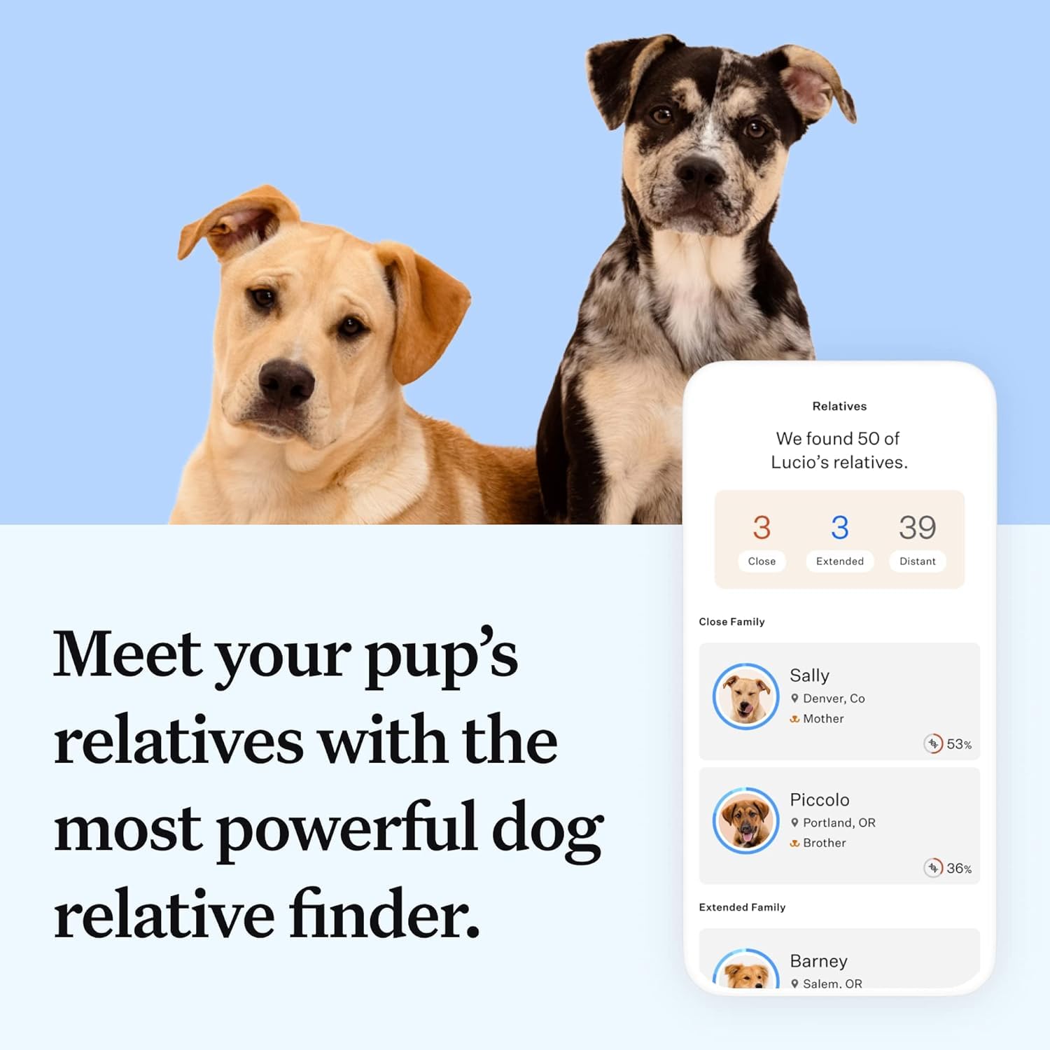 Wisdom Panel Essential DNA Kit relatives network image showing relative matches for social and training planning.