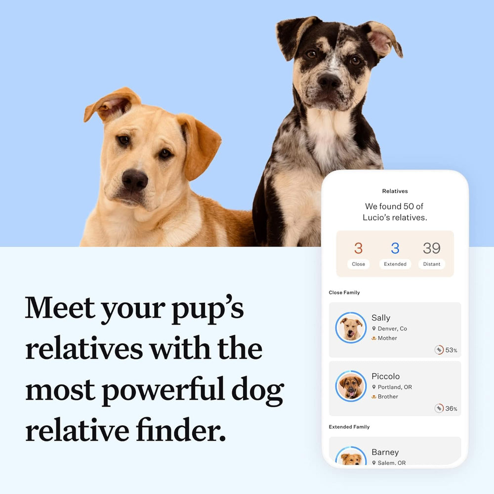 Wisdom Panel Essential DNA Kit relatives network image showing relative matches for social and training planning.