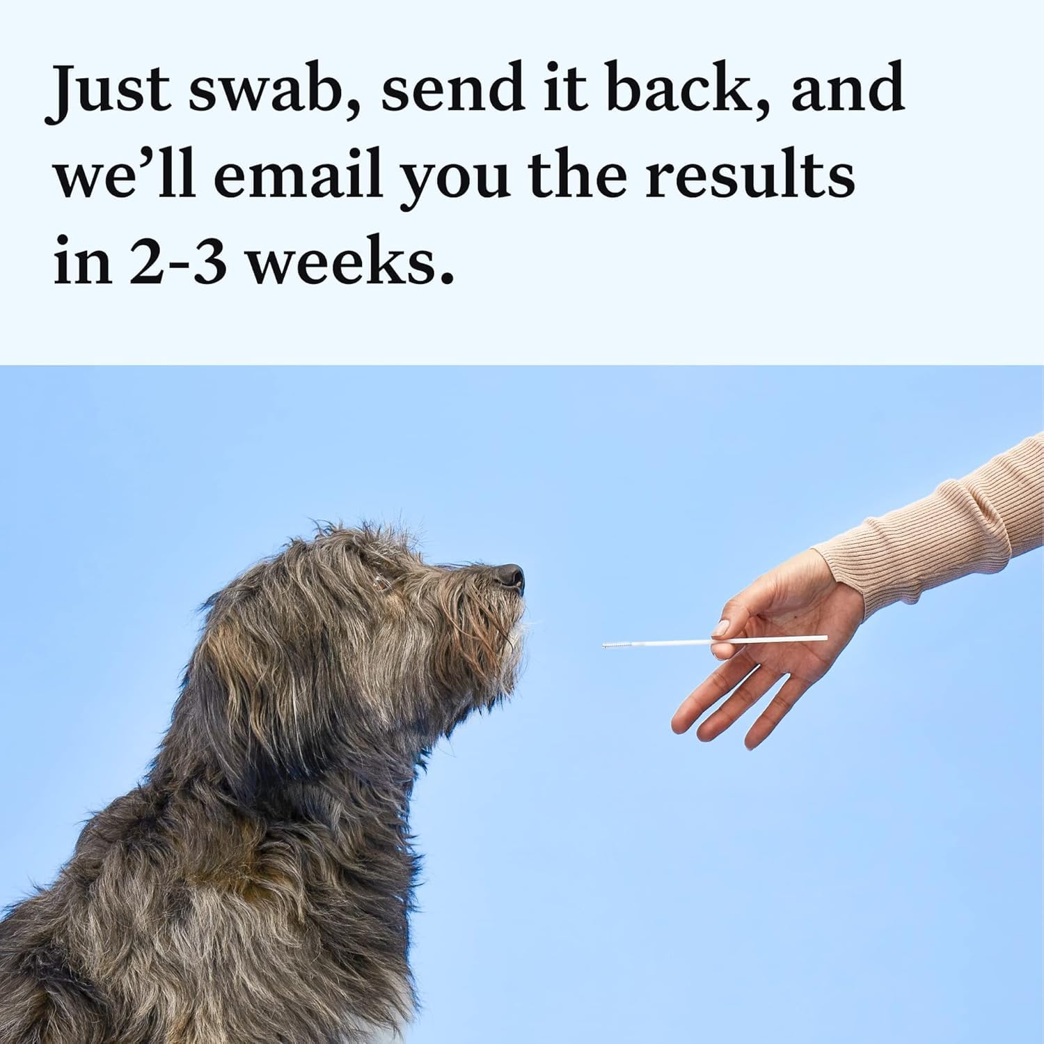 Wisdom Panel Essential DNA Kit traits-behaviors image illustrating appearance and behavior insights for enrichment.