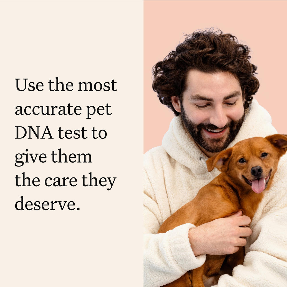 Wisdom Panel Premium Dog DNA Kit breed-detection results inform tailored care