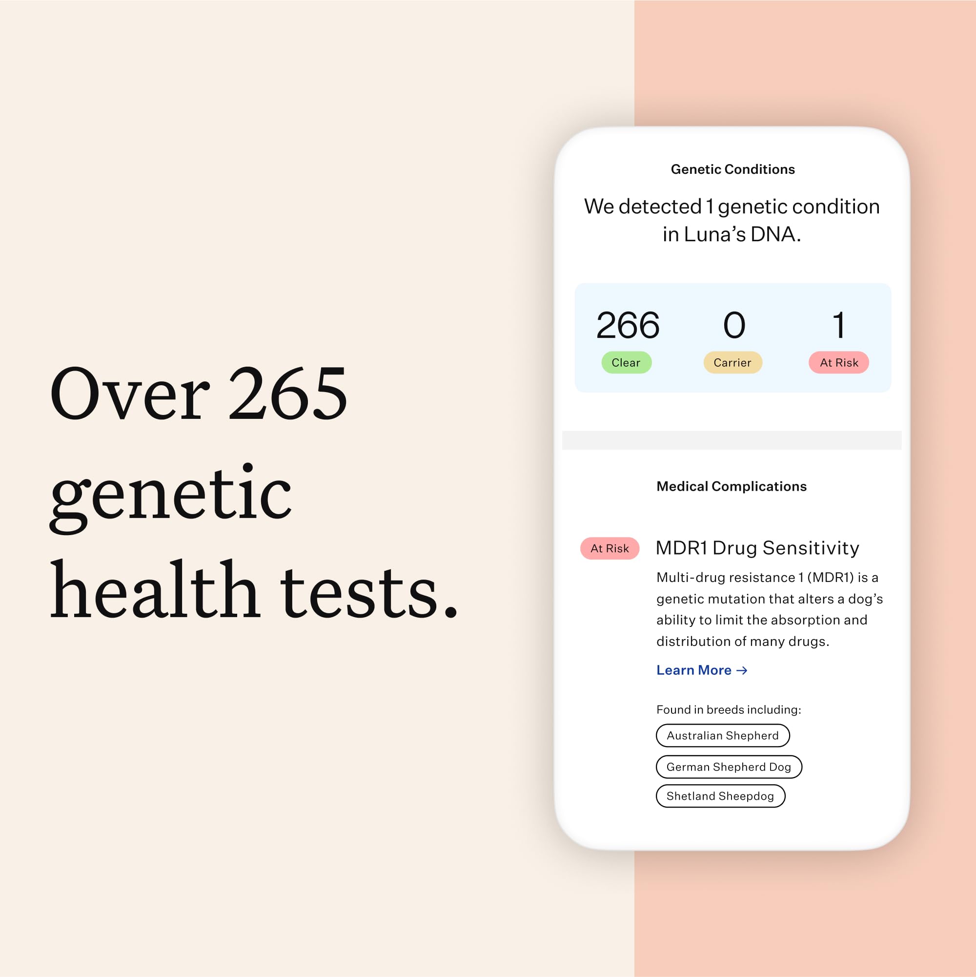 Wisdom Panel Premium Dog DNA Kit trait-screen reveals your dog's unique look