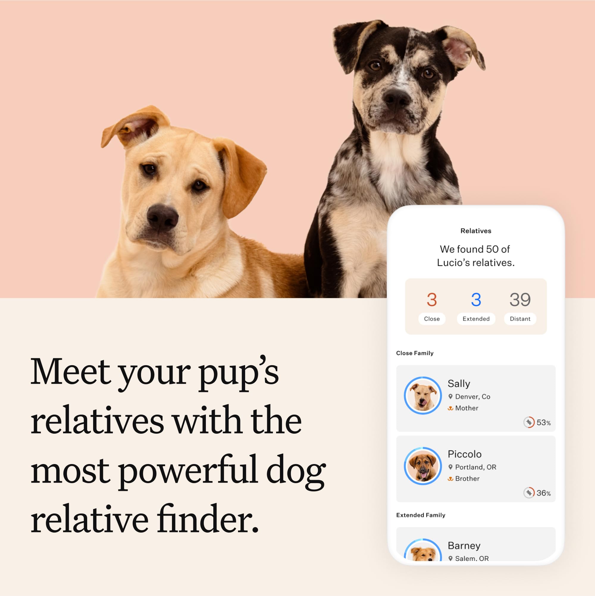 Wisdom Panel Premium Dog DNA Kit vet-care planning support